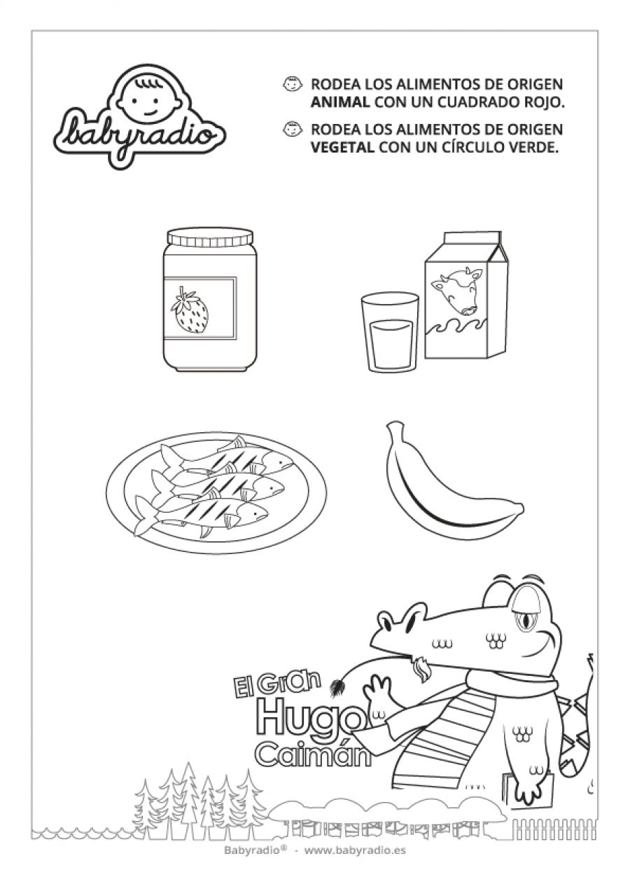 cual es el origen animal